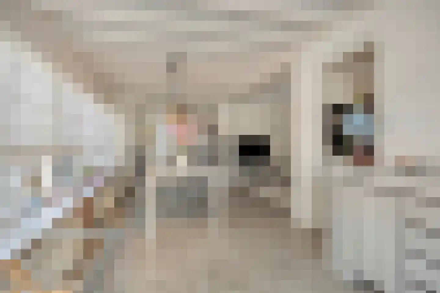 Dorpstraat 73 Luyksgestel thumbnail 32