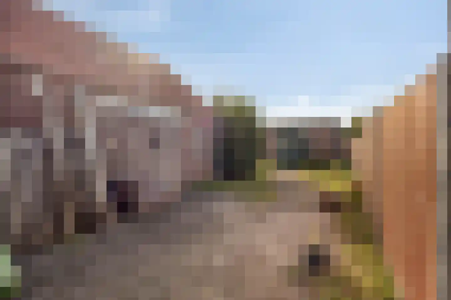 Dorpstraat 73 Luyksgestel thumbnail 43