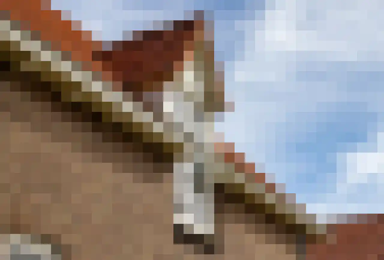 Dorpstraat 74 Gendt thumbnail 17