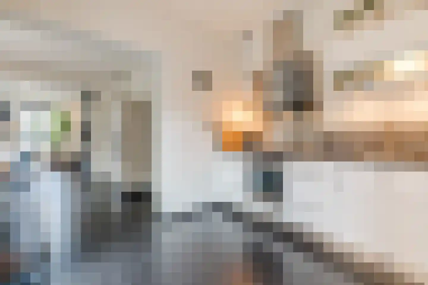 Dorpstraat 75 Echt thumbnail 20