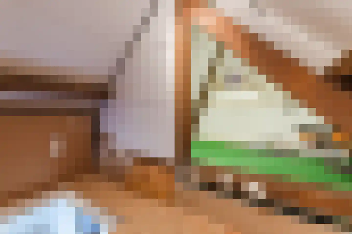 Dorpstraat 75 Echt thumbnail 38
