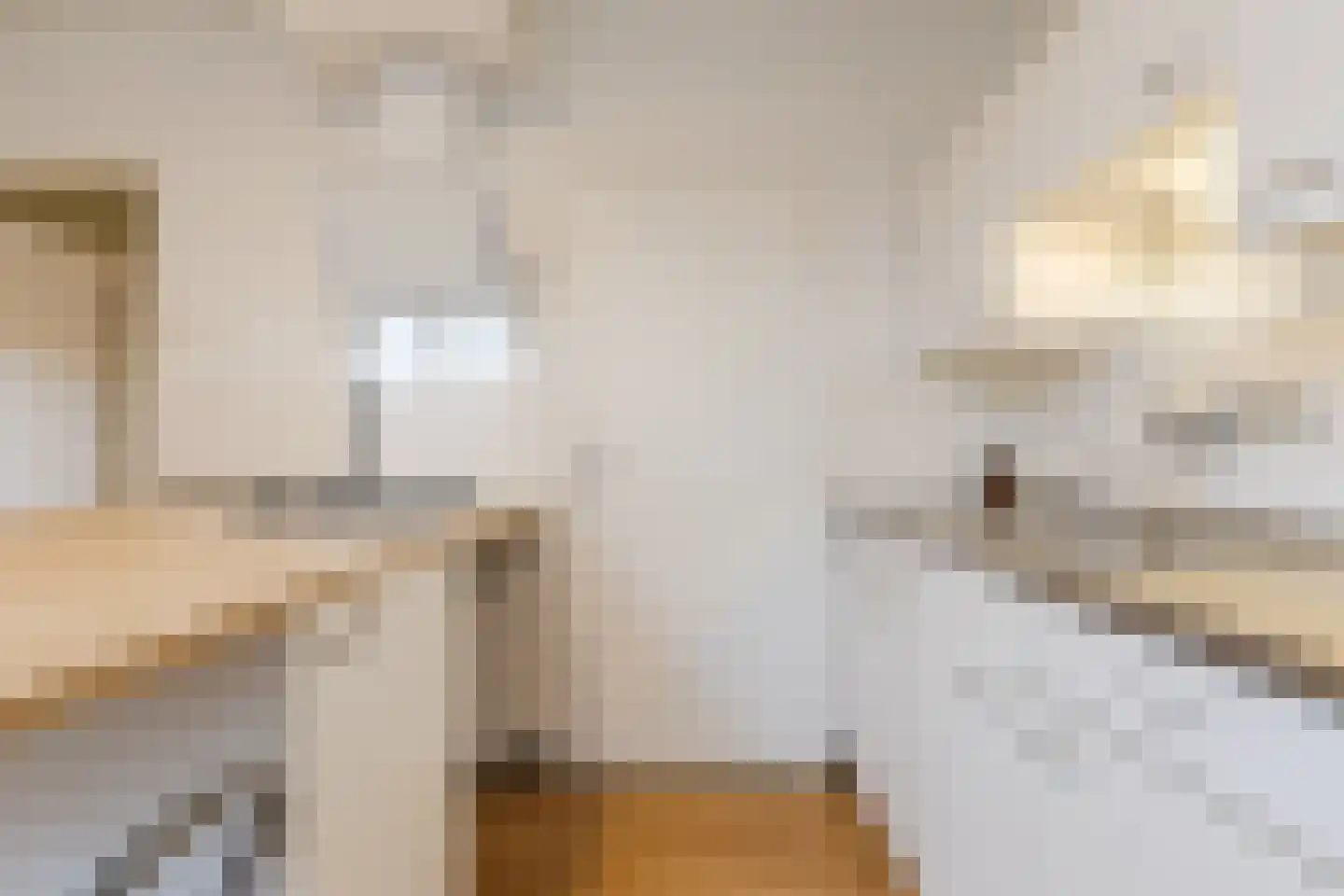 Dorpstraat 75 Echt thumbnail 45