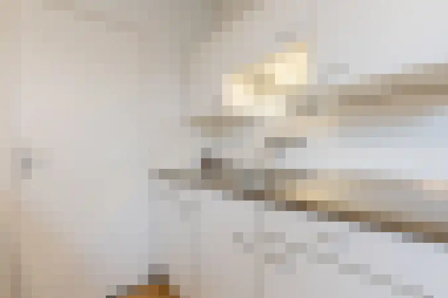 Dorpstraat 75 Echt thumbnail 46