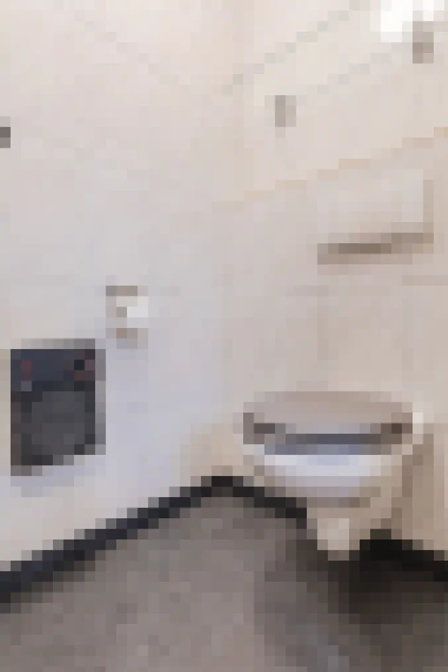 Dorpstraat 75 Echt thumbnail 51