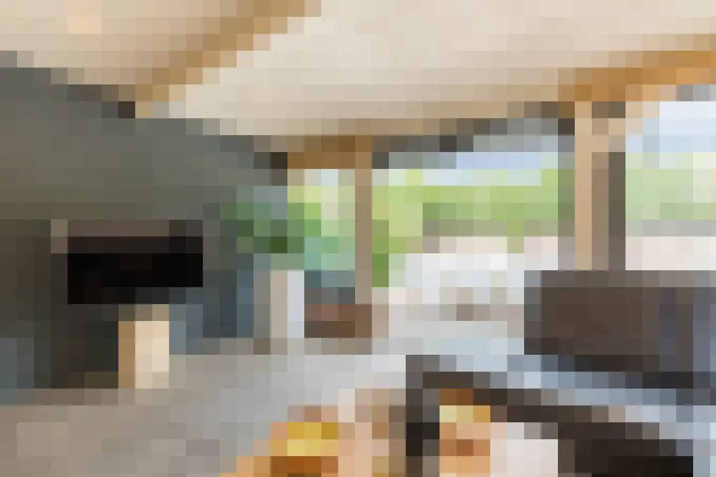 Dorpstraat 75 Echt thumbnail 64