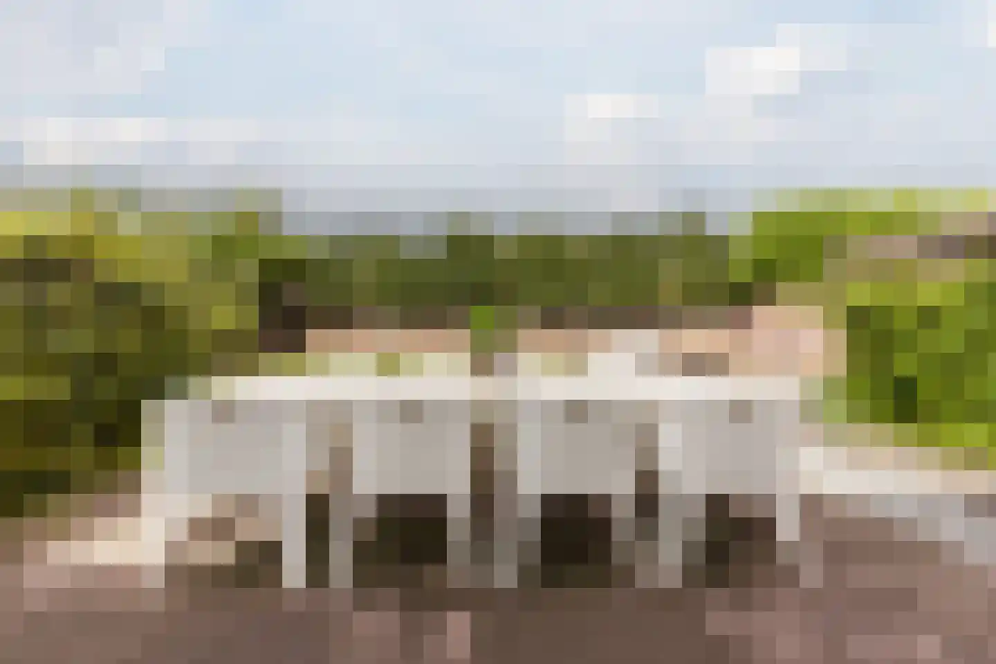 Dorpstraat 75 Echt thumbnail 65