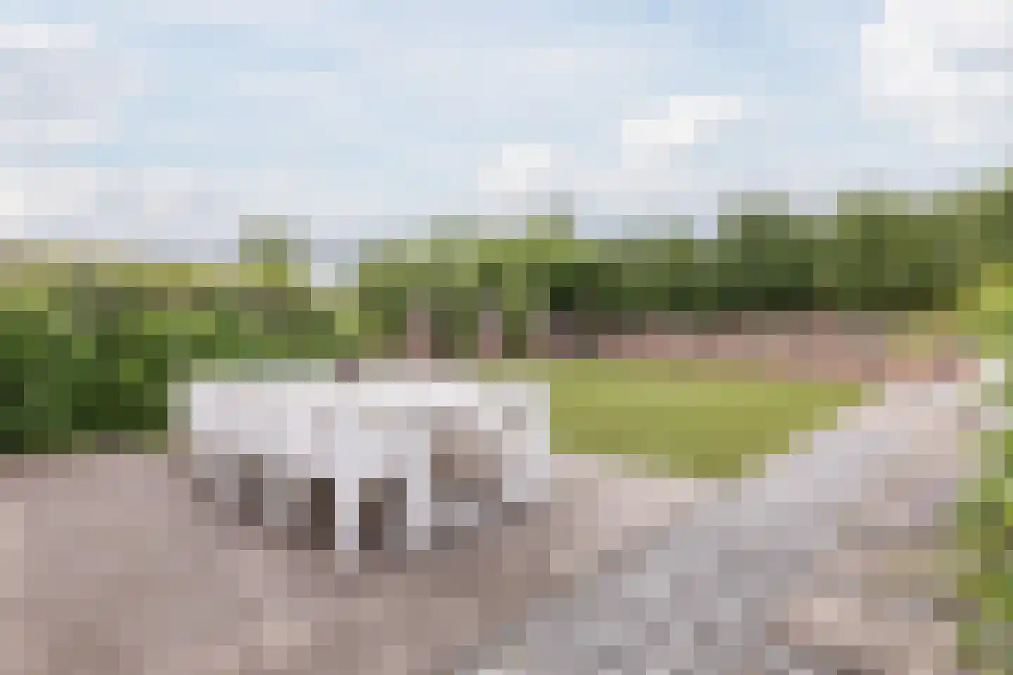 Dorpstraat 75 Echt thumbnail 66