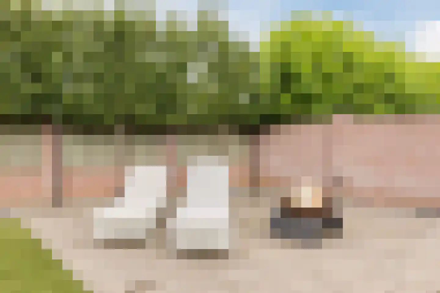 Dorpstraat 75 Echt thumbnail 68