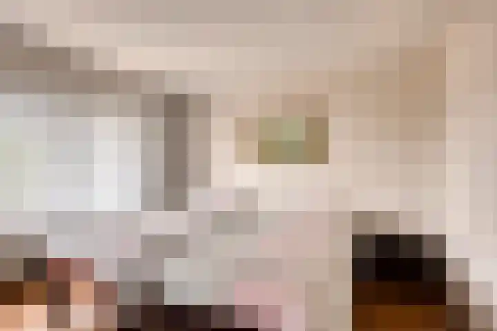 Dorpstraat 77 A Echt thumbnail 17