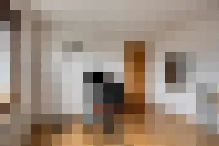 Dorpstraat 77 A Echt thumbnail 19