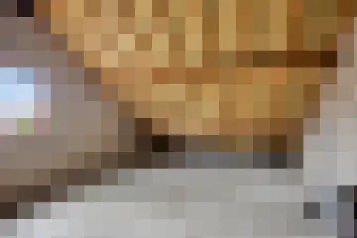 Dorpstraat 77 A Echt thumbnail 25