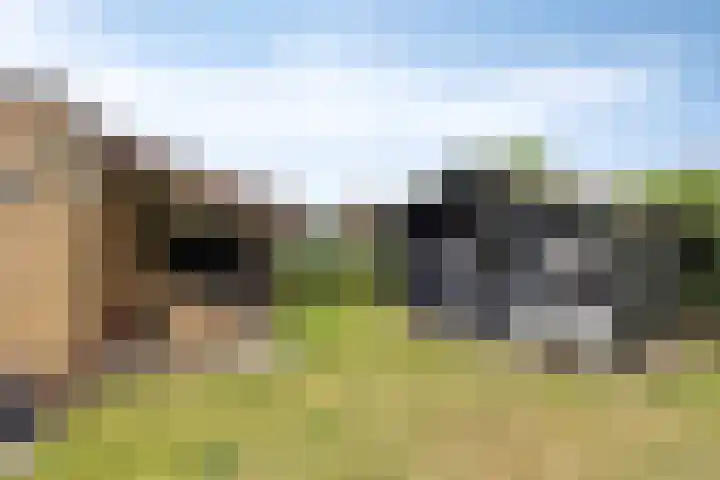 Dorpstraat 77 A Echt thumbnail 29