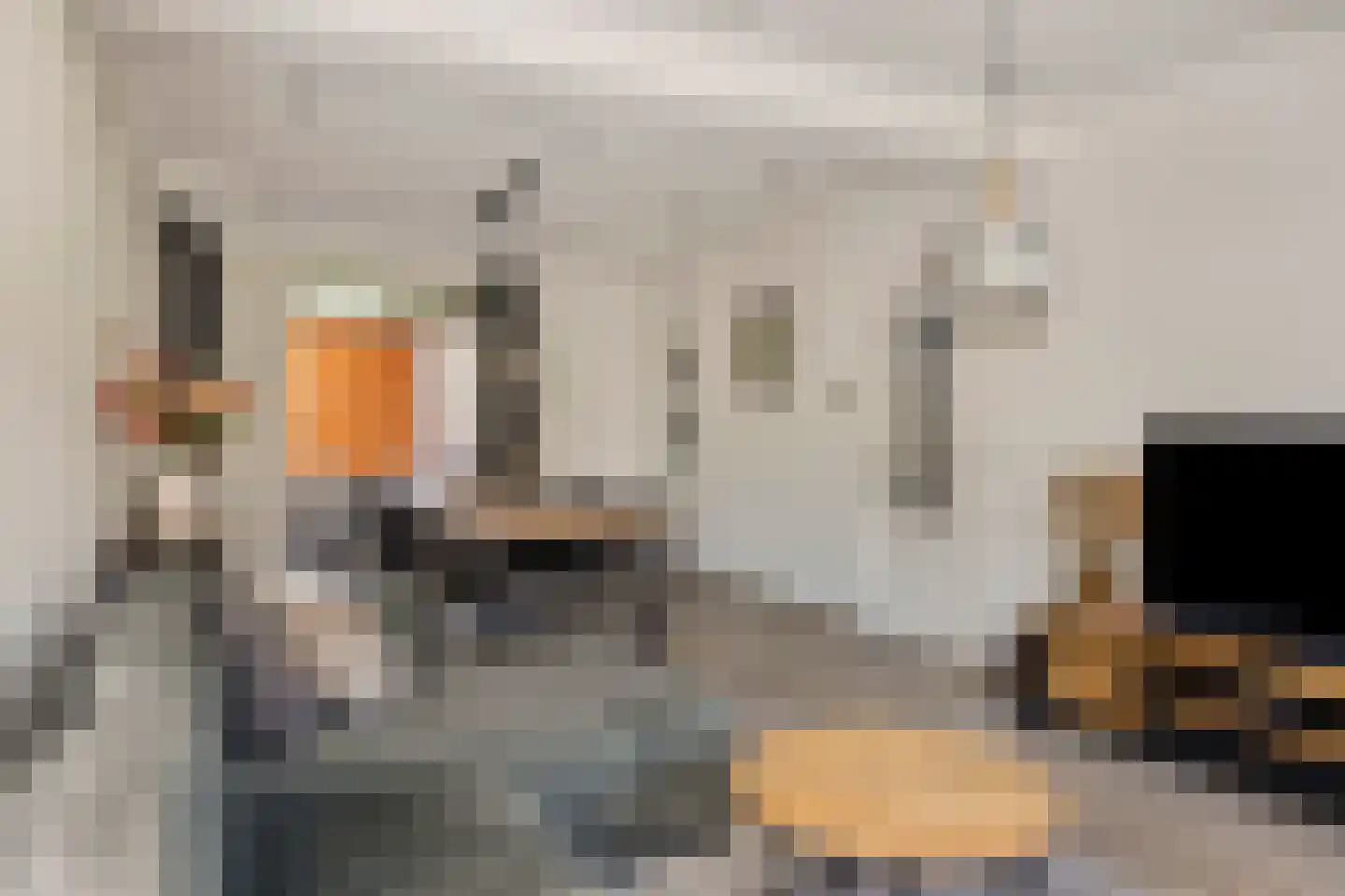 Dorpstraat 77 Luyksgestel thumbnail 19