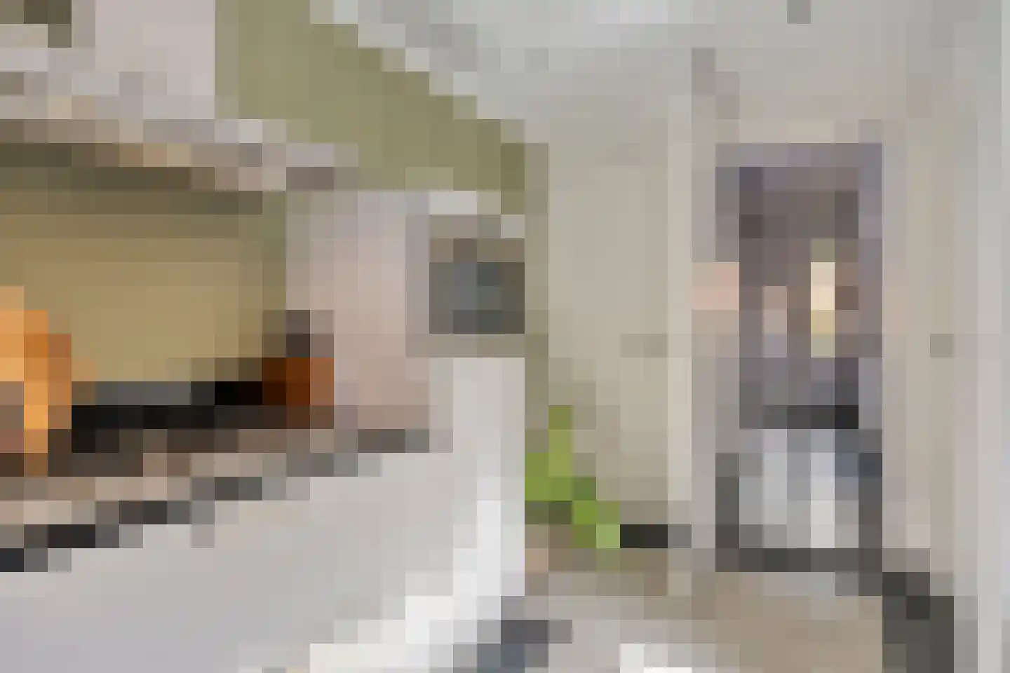 Dorpstraat 77 Luyksgestel thumbnail 24