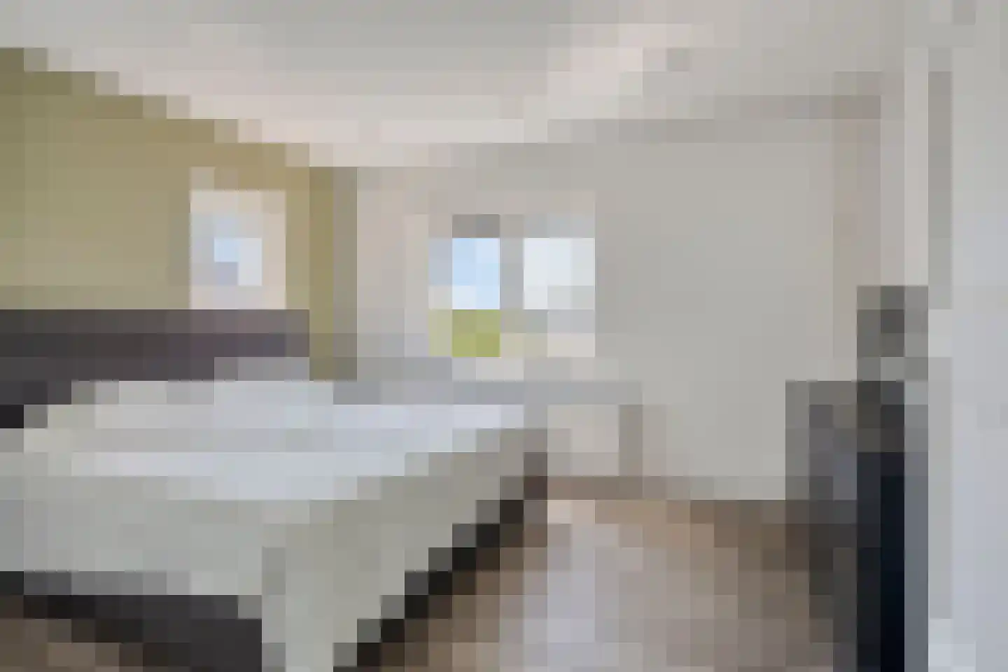 Dorpstraat 77 Luyksgestel thumbnail 39