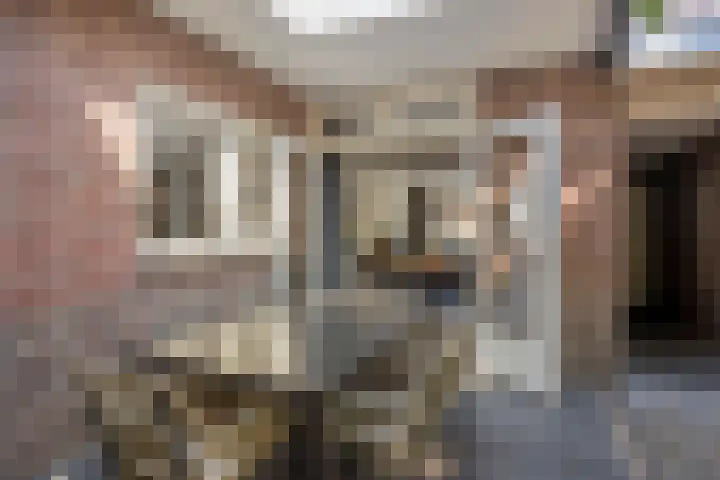Dorpstraat 77 Luyksgestel thumbnail 45
