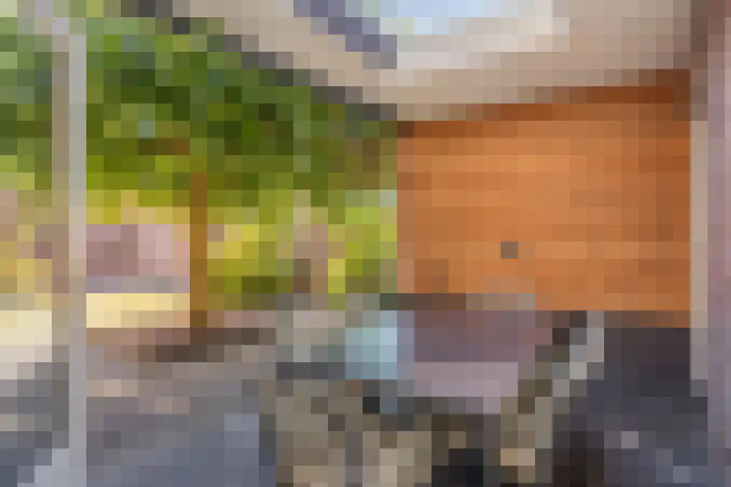 Dorpstraat 77 Luyksgestel thumbnail 5