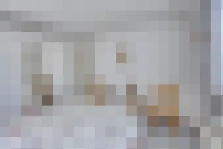 Dorpstraat 78 A Echt thumbnail 14