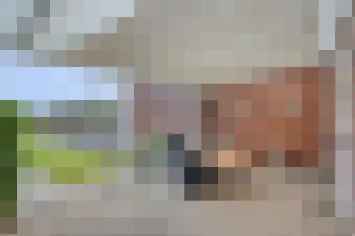 Dorpstraat 78 A Echt thumbnail 21