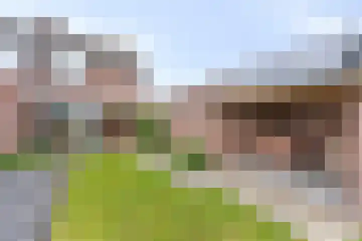 Dorpstraat 78 A Echt thumbnail 25