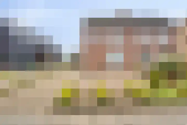 Dorpstraat 78 A Echt thumbnail 28