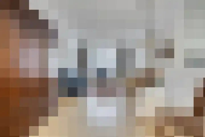 Dorpstraat 78 A Echt thumbnail 8