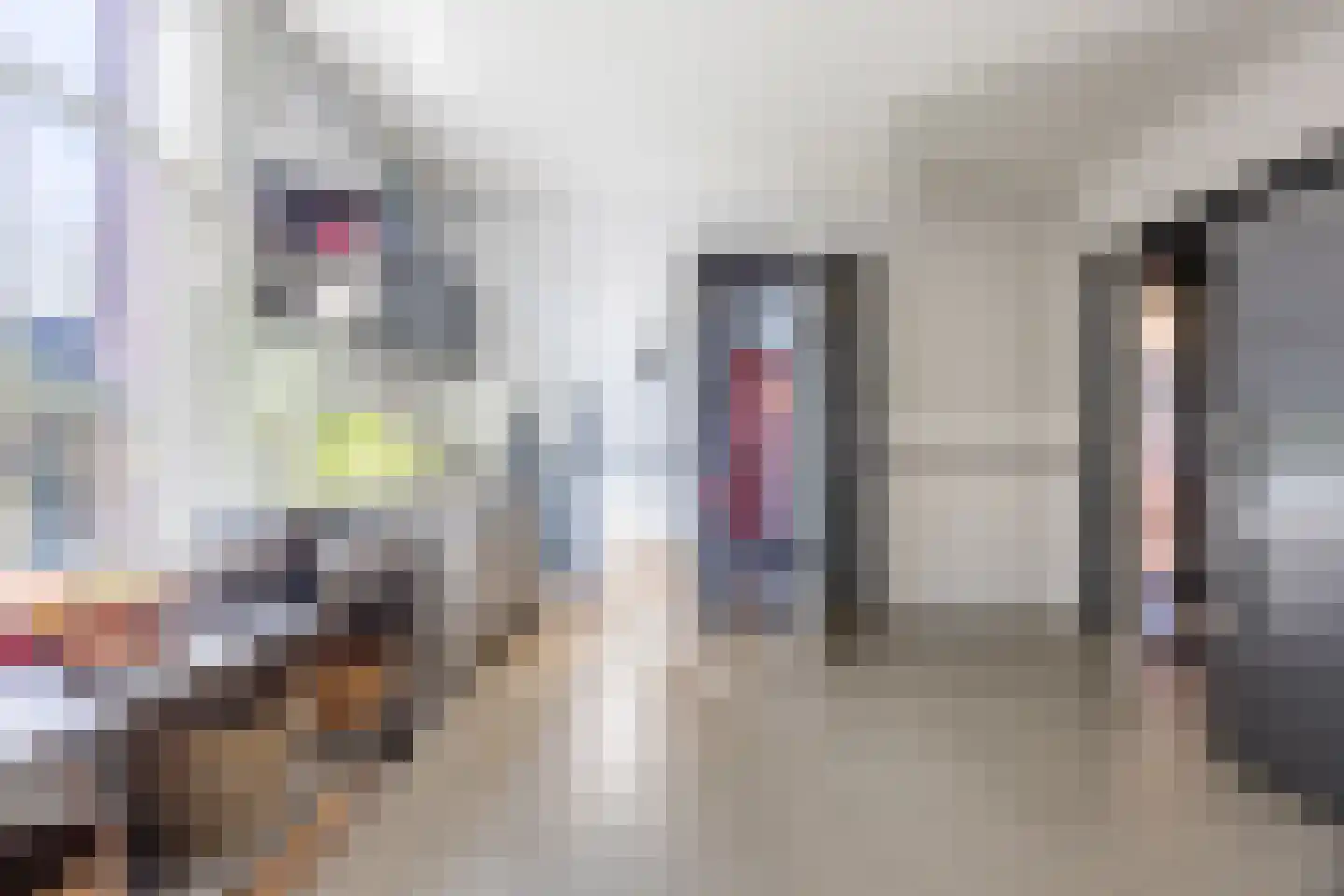 Dorpstraat 8 Gassel thumbnail 14