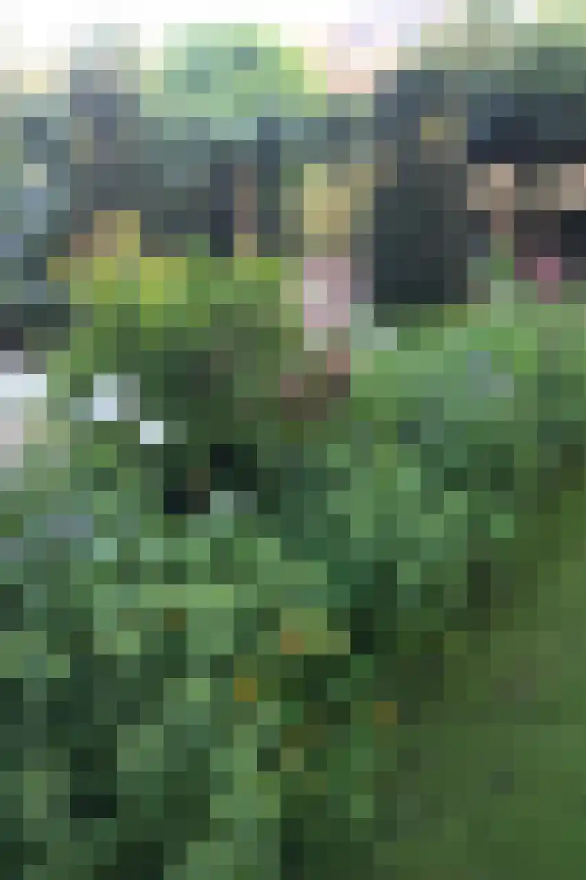 Dorpstraat 8 Gassel thumbnail 30