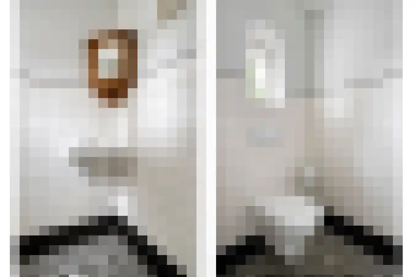 Dorpstraat 8 Gassel thumbnail 31