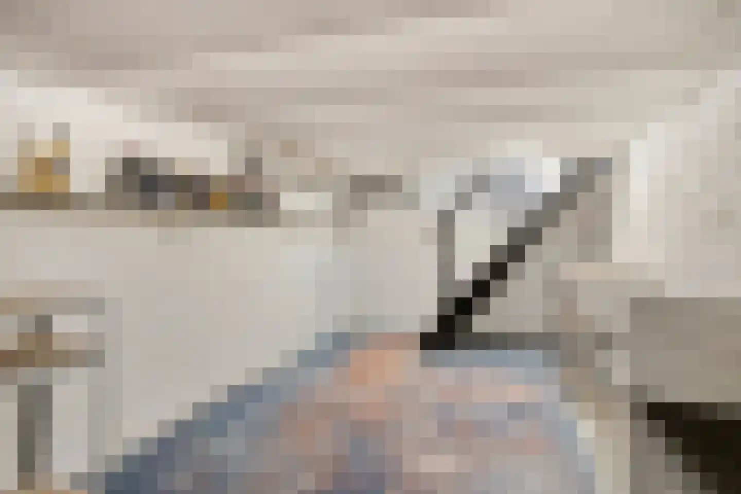 Dorpstraat 8 Gassel thumbnail 32