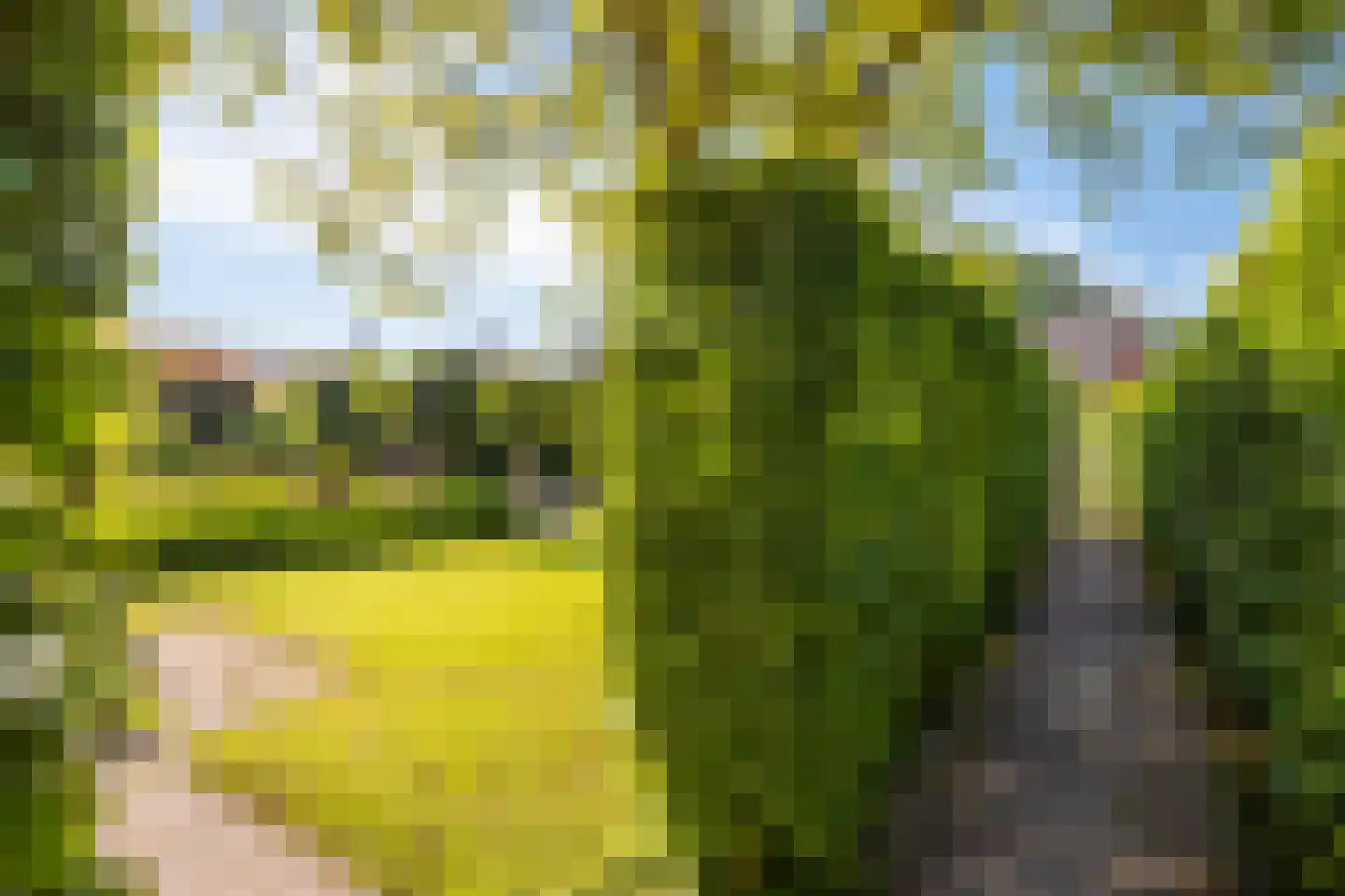 Dorpstraat 8 Gassel thumbnail 32