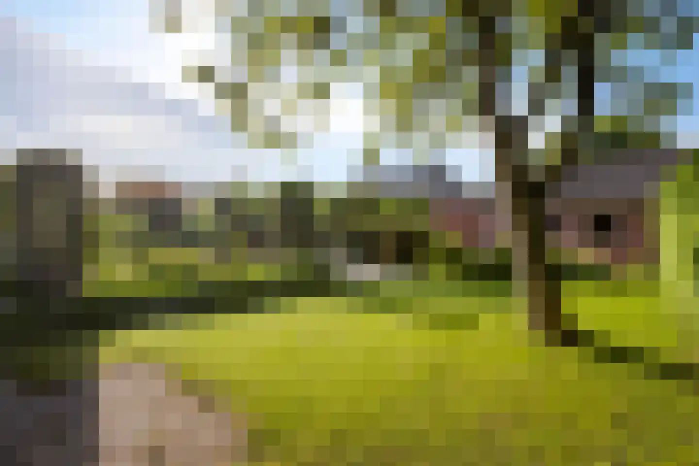 Dorpstraat 8 Gassel thumbnail 33