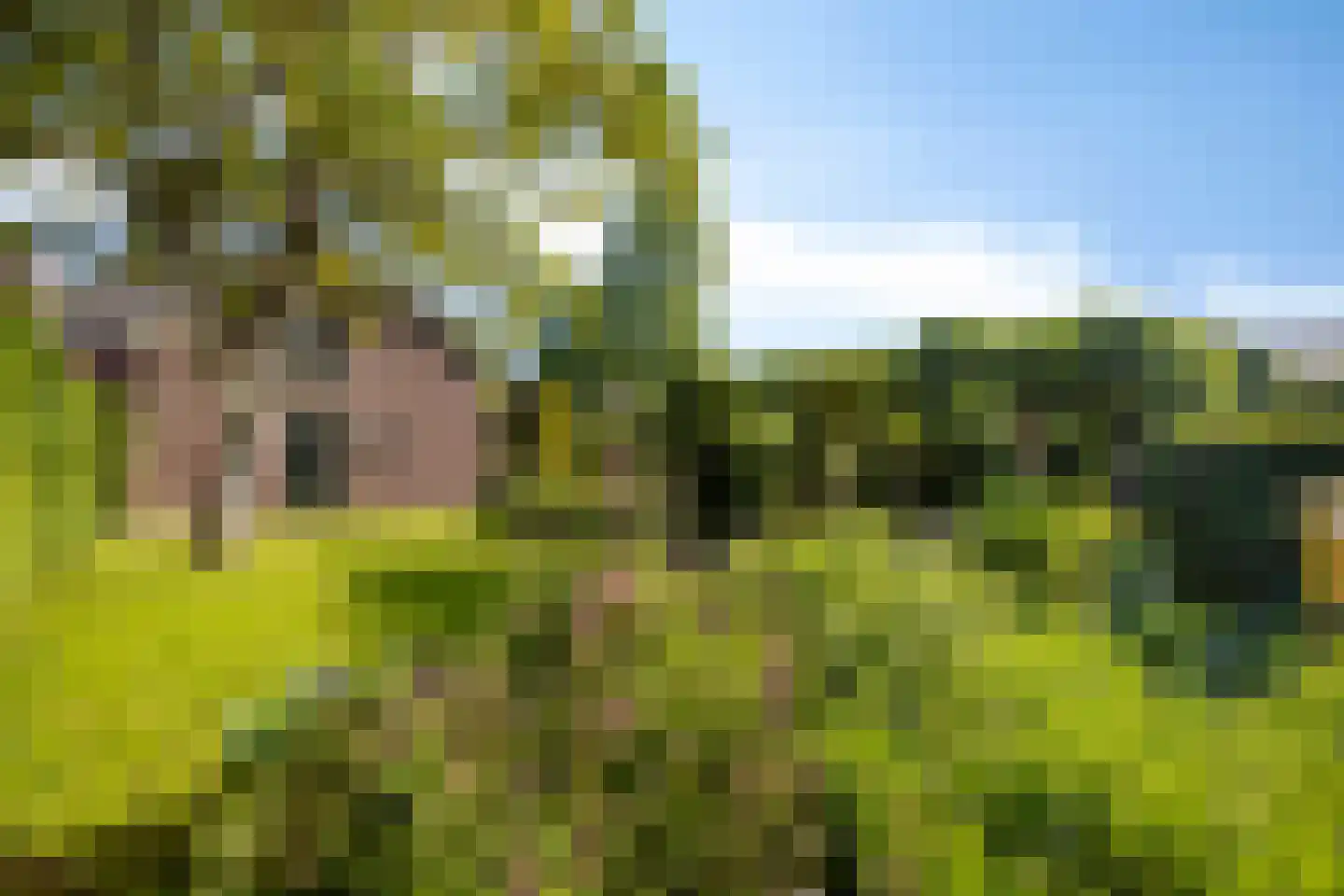 Dorpstraat 8 Gassel thumbnail 34