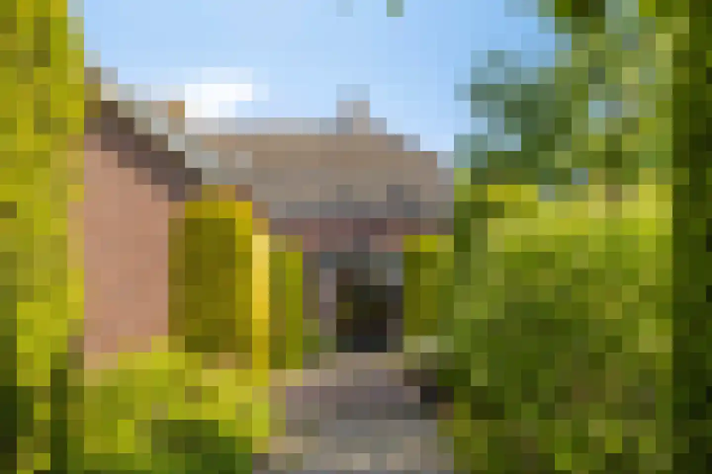Dorpstraat 8 Gassel thumbnail 35
