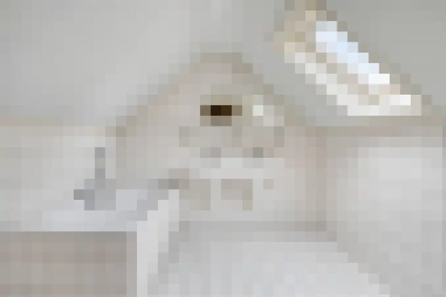 Dorpstraat 8 Gassel thumbnail 38