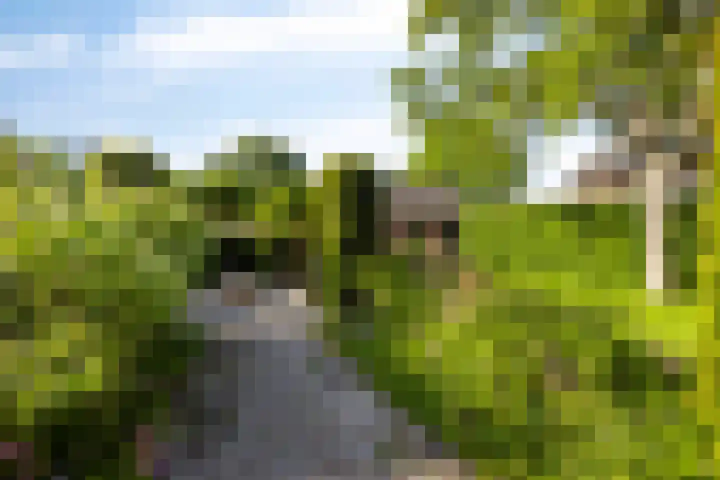 Dorpstraat 8 Gassel thumbnail 38