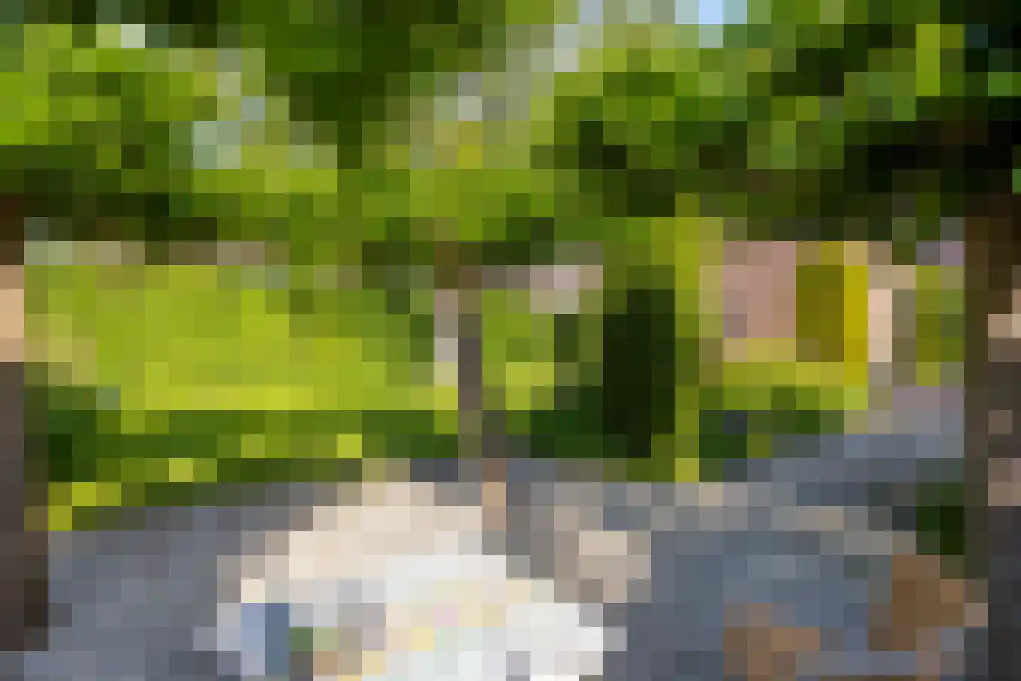 Dorpstraat 8 Gassel thumbnail 39