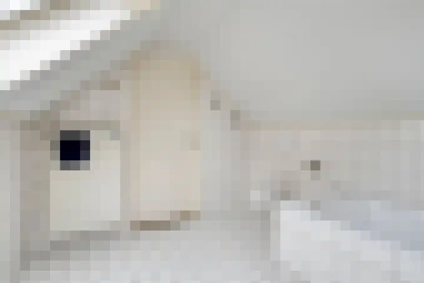 Dorpstraat 8 Gassel thumbnail 39