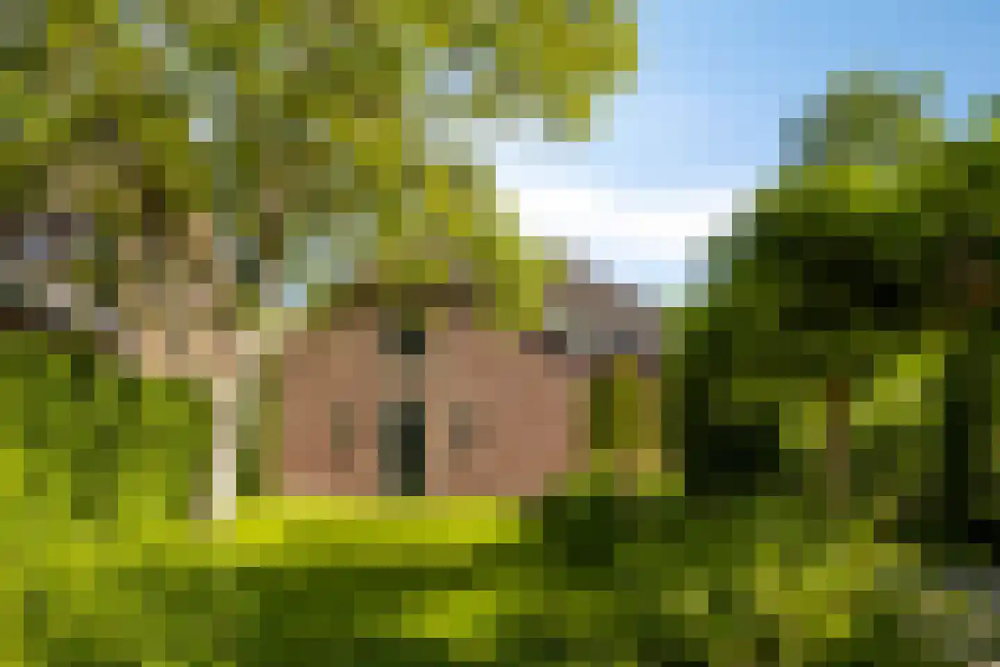 Dorpstraat 8 Gassel thumbnail 4