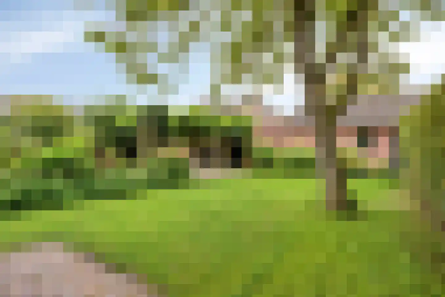 Dorpstraat 8 Gassel thumbnail 4