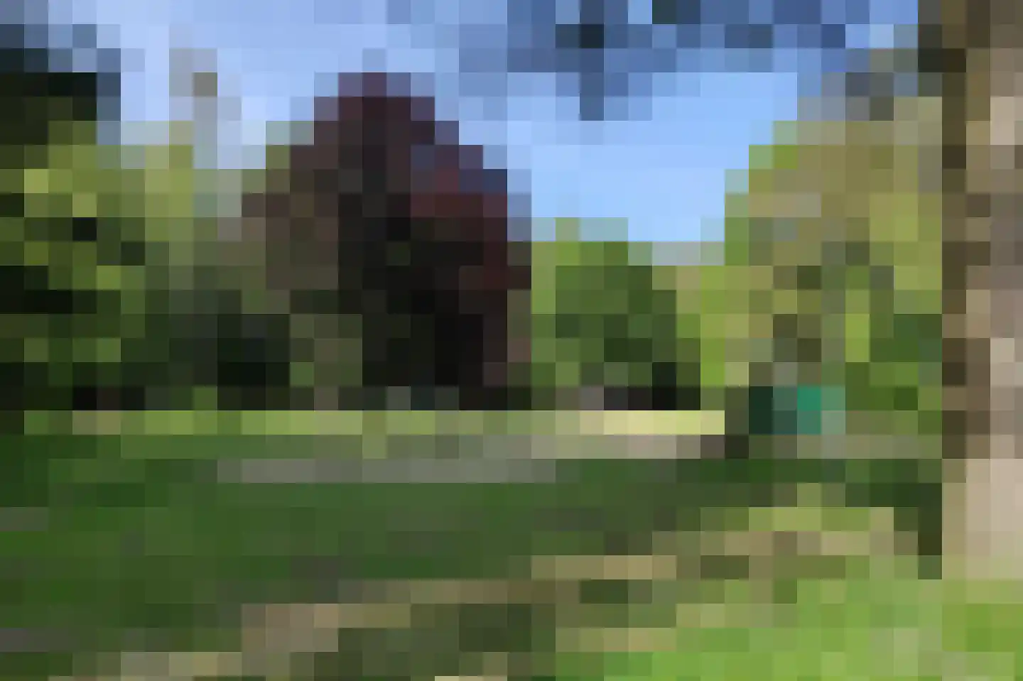 Dorpstraat 8 Gassel thumbnail 45