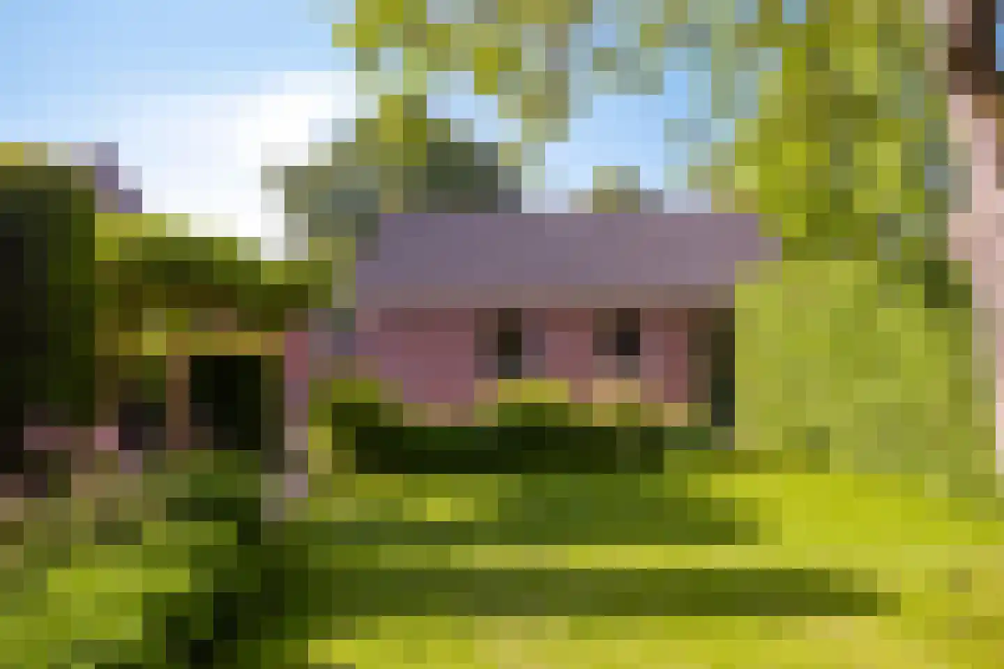 Dorpstraat 8 Gassel thumbnail 45