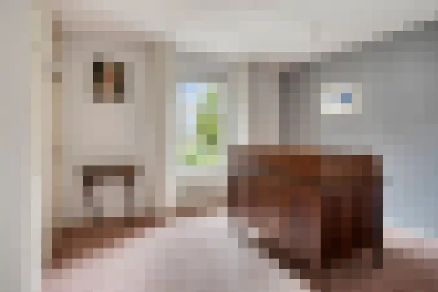Dorpstraat 8 Gassel thumbnail 46