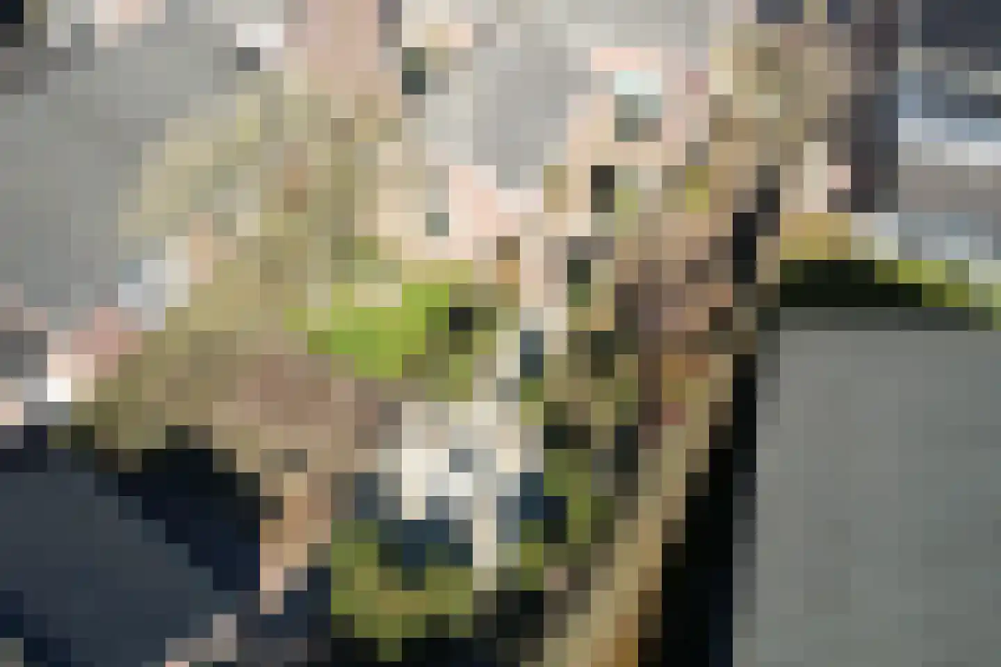Dorpstraat 8 Gassel thumbnail 47