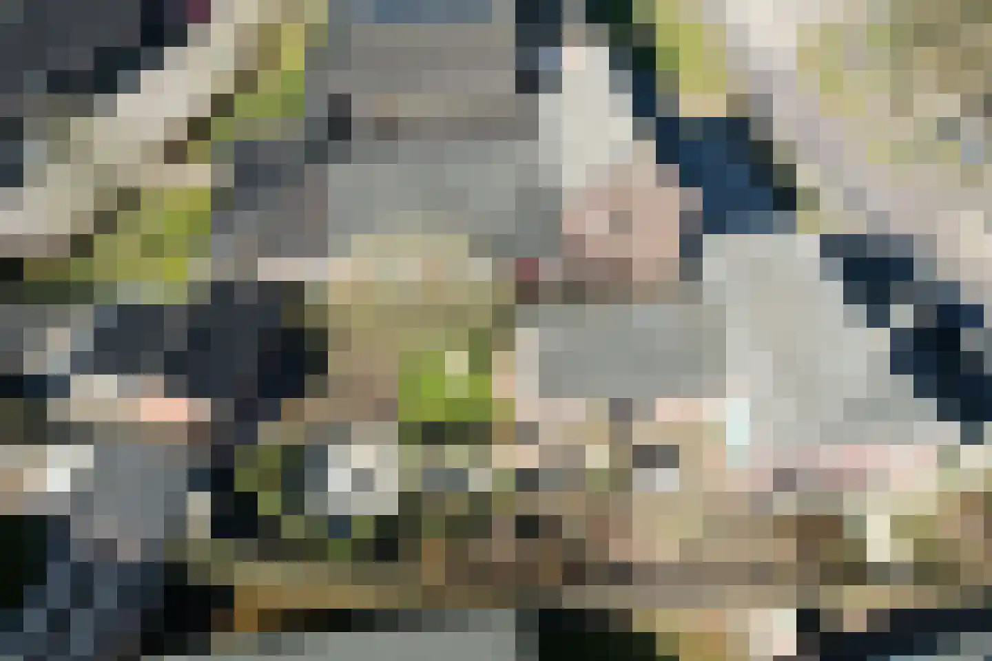 Dorpstraat 8 Gassel thumbnail 48