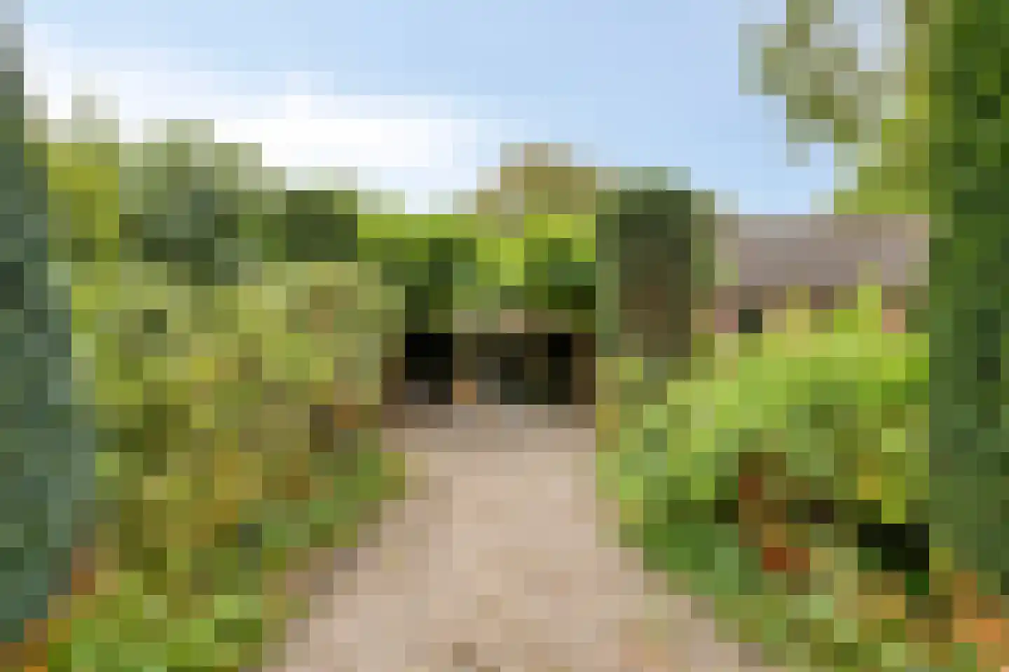 Dorpstraat 8 Gassel thumbnail 55