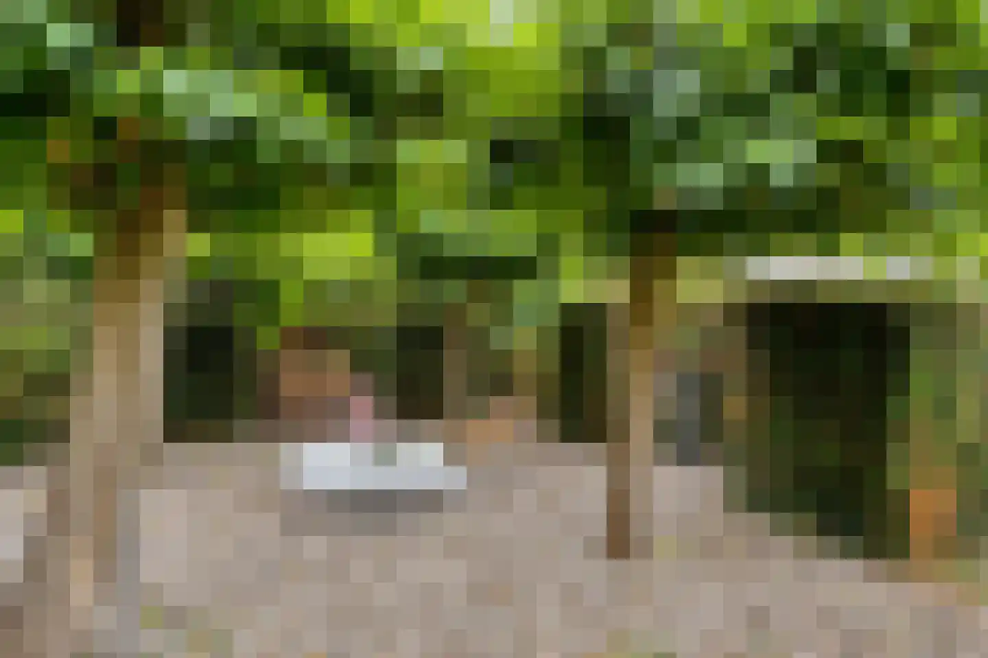 Dorpstraat 8 Gassel thumbnail 56