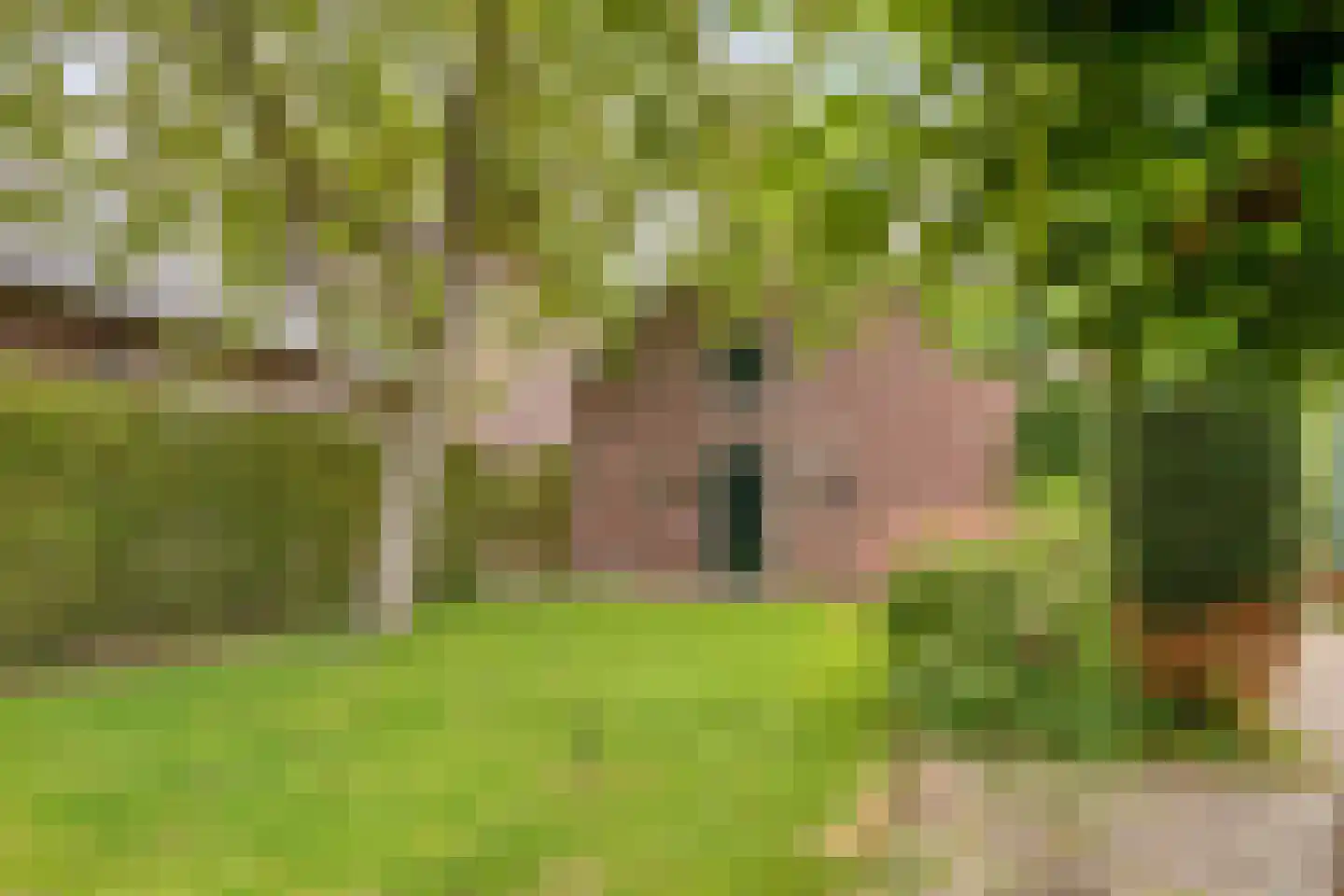 Dorpstraat 8 Gassel thumbnail 57