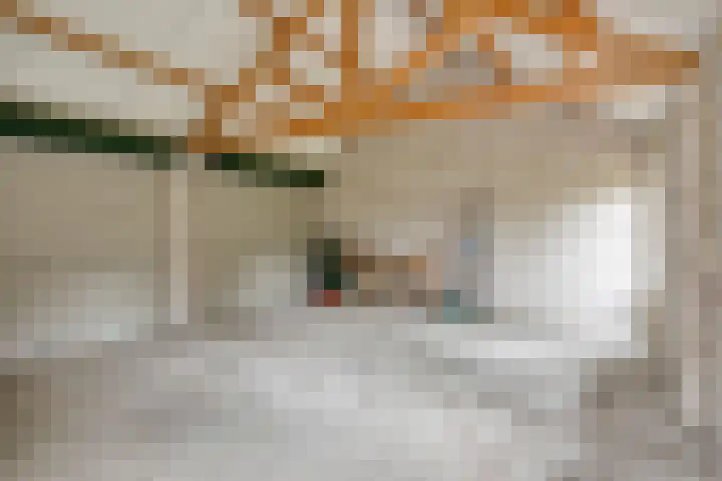 Dorpstraat 8 Gassel thumbnail 62
