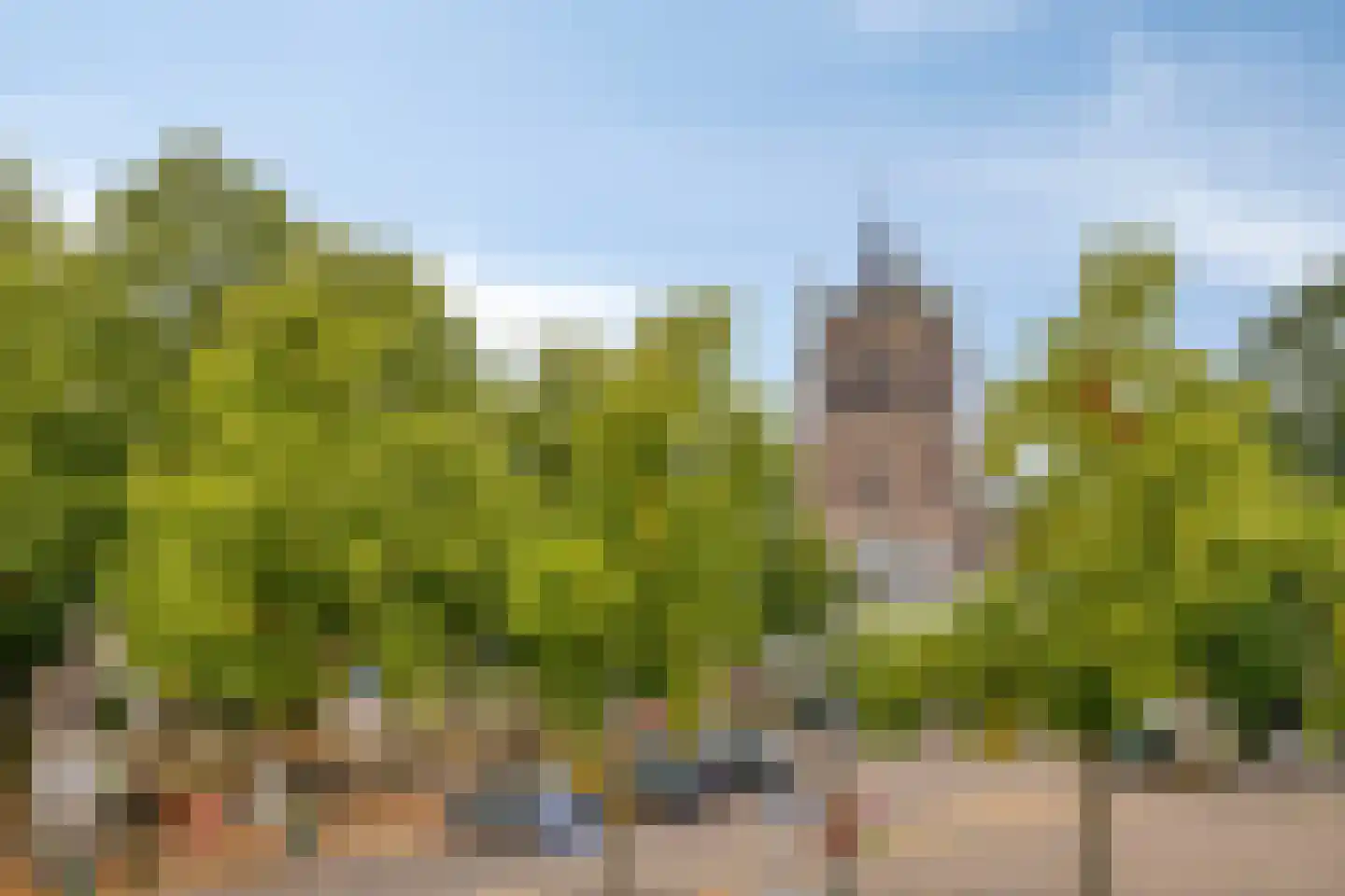 Dorpstraat 8 Gassel thumbnail 66